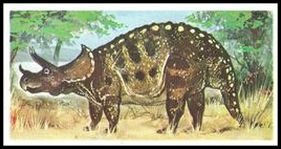 26 Triceratops